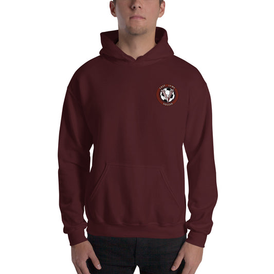 Viking V Soccer Hoodie